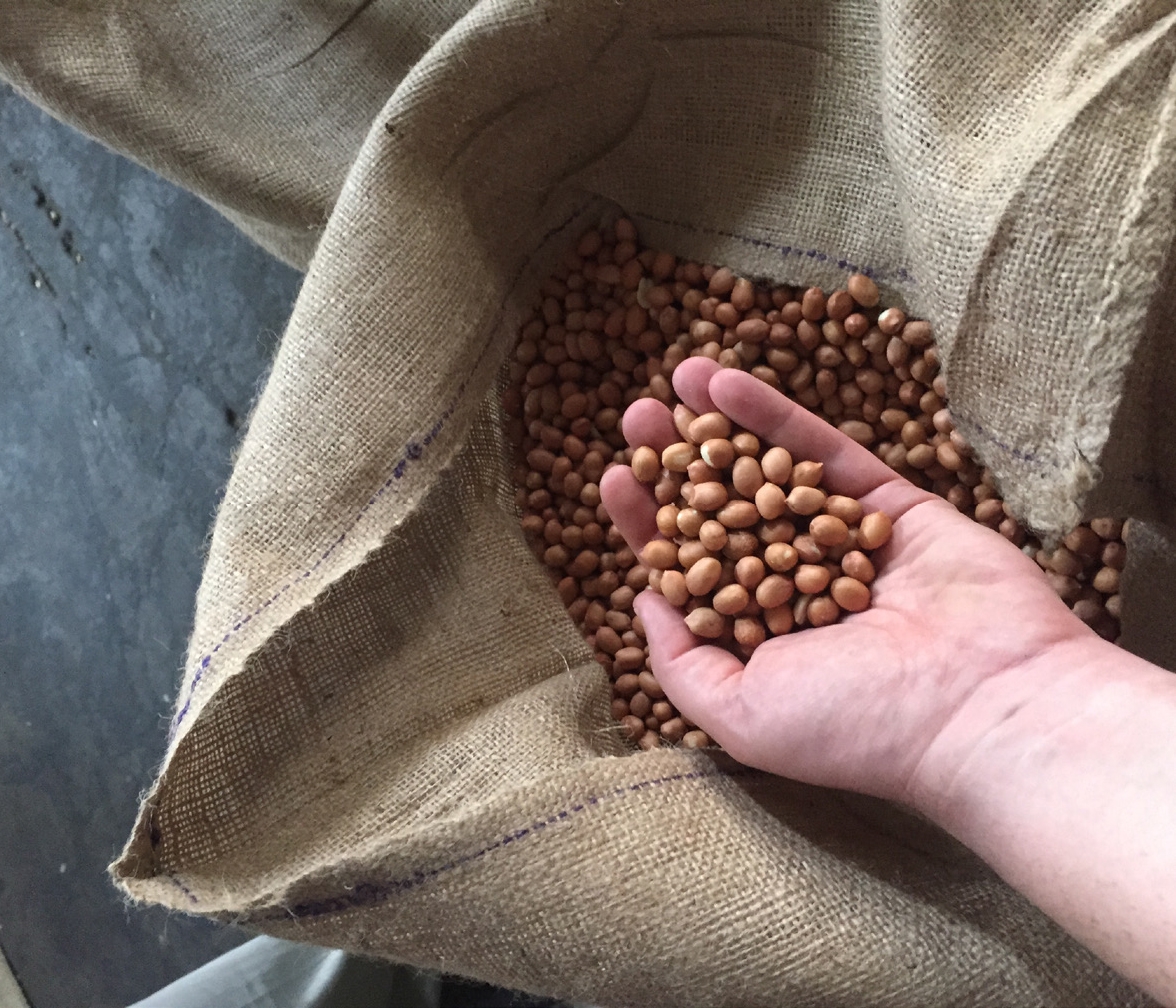 Our quality promise at Lorenz: sustainably grown and harvested nuts