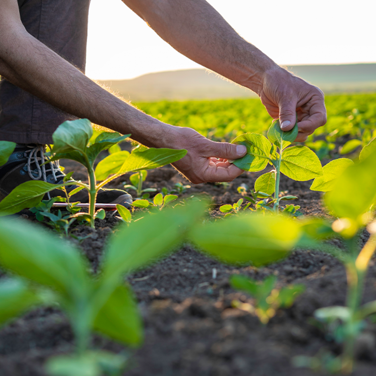 New: Our Sustainability Progress Report 2024
