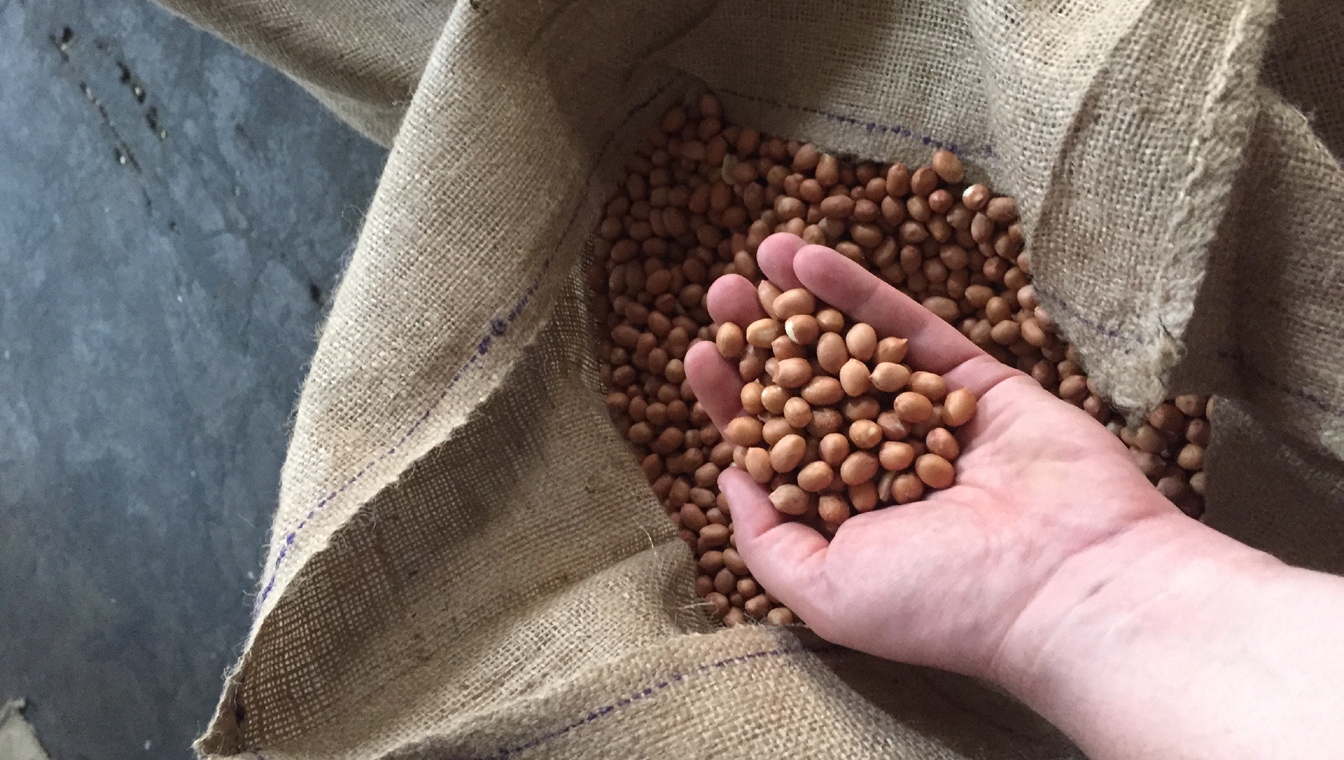 Our quality promise at Lorenz: sustainably grown and harvested nuts