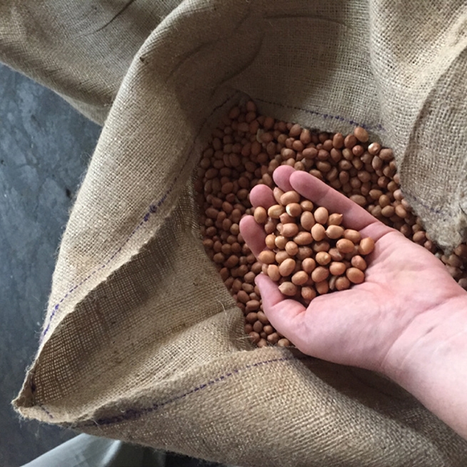 Our quality promise at Lorenz: sustainably grown and harvested nuts